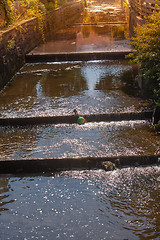 Image showing Floating colorful ball