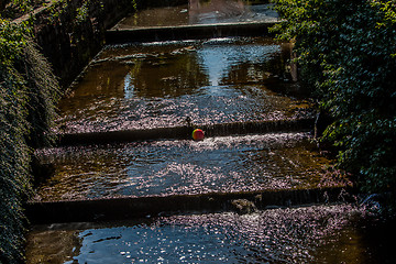 Image showing Floating colorful ball