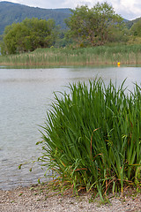 Image showing Bay on Lake Tegernsee