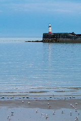 Image showing Newhaven Lighthouse at Low Tide