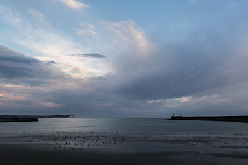 Image showing Seaford Head and Newhaven Lighthouse