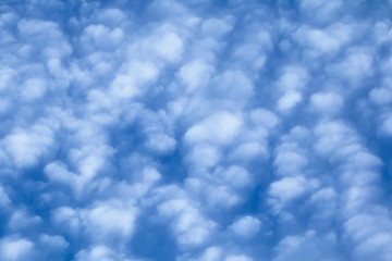 Image showing Cirrocumulus Clouds Fill Frame 