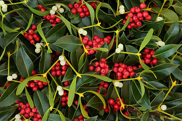 Image showing Winter Berry Holly and Mistletoe