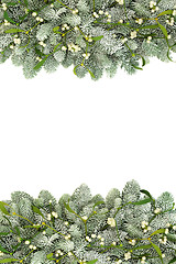 Image showing Mistletoe and Spruce Pine Fir Border