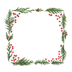 Image showing Cedar Cypress and Holly Berry Frame