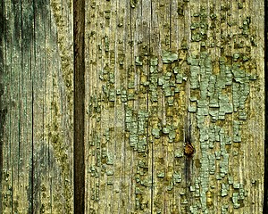 Image showing Cracked Wooden Background