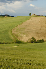 Image showing Tuscany landscape, Italy, Europe