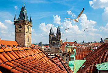 Image showing Birds over Old Town Square