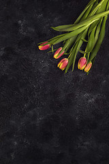 Image showing Tulips on darken concrete background