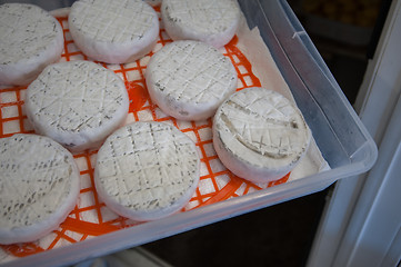 Image showing aging cheese heads