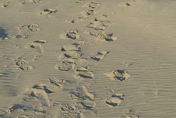 Image showing footsteps