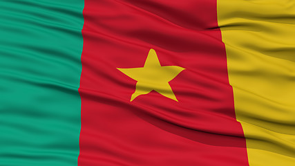 Image showing Closeup Cameroon Flag