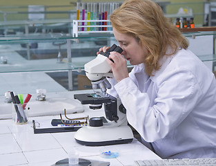 Image showing Looking through a microscope