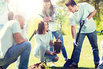 Image showing group of volunteers planting tree in park