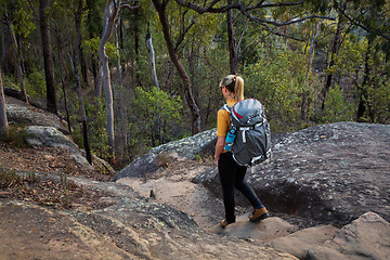 Image showing Bushwalking Blue Mountains