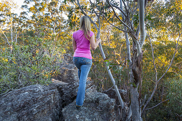 Image showing Standing high up on rock ledge  in the tree canopy