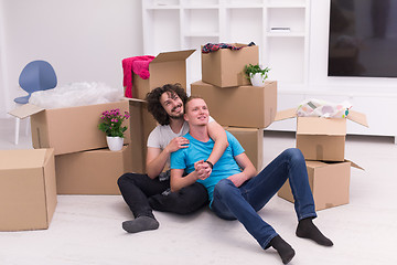 Image showing young  gay couple moving  in new house