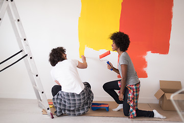 Image showing multiethnic couple painting interior wall