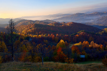 Image showing Colorful autumn landscape in romania