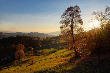 Image showing Colorful autumn landscape in mountain 