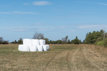 Image showing Stacked hay bales