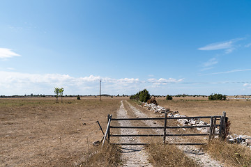 Image showing Old gate by a country road