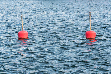 Image showing Red anchor buoys in water