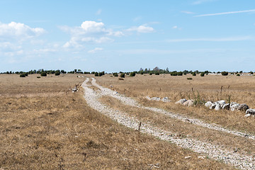 Image showing Dirt road through a dry grassland