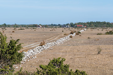 Image showing Dried grassland by summer season