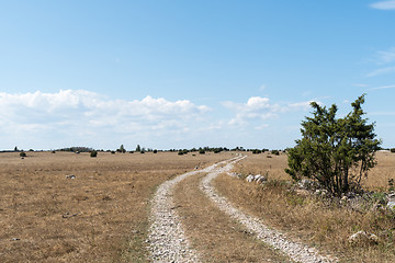 Image showing Winding dirt road in a dry grassland