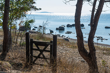 Image showing View at shimmering water