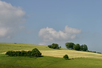 Image showing trees in France landscape