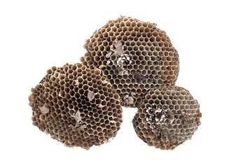 Image showing Old honeycomb isolated 