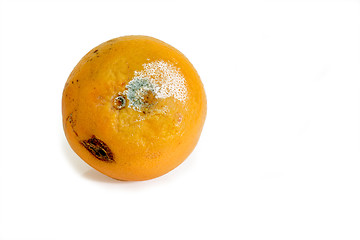 Image showing Mouldy fruit