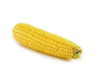 Image showing One corn crop