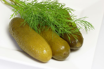 Image showing Pickle and dill herbs