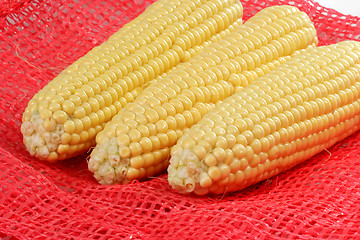 Image showing Sweet corn