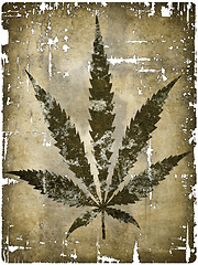 Image showing hemp leaf