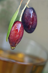 Image showing olive oil