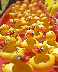 Image showing lots of rubber ducks