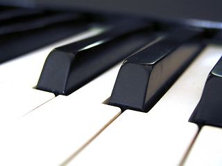 Image showing Piano Keys