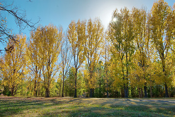 Image showing park in autumn or fall