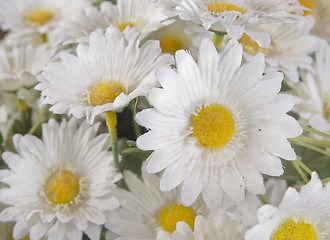 Image showing silk daisies