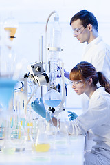 Image showing Young chemists researching in life science laboratory.