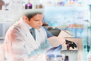 Image showing Life science researcher microscoping in genetic scientific laboratory.