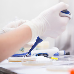 Image showing Life scientist researching in the biochemical laboratory.