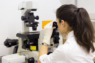 Image showing Life science researcher microscoping in genetic scientific laboratory.
