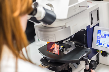 Image showing Helth care professional microscoping on hi-tec fluorescent microscope.