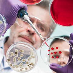 Image showing Life scientists researching in the health care laboratory.
