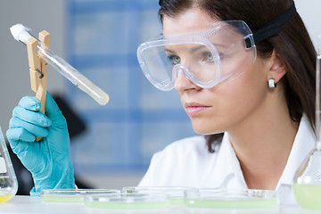 Image showing Health care professional researching in scientific laboratory.